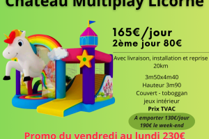 Château Multiplay Licorne