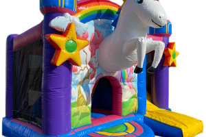 Château Multiplay Licorne